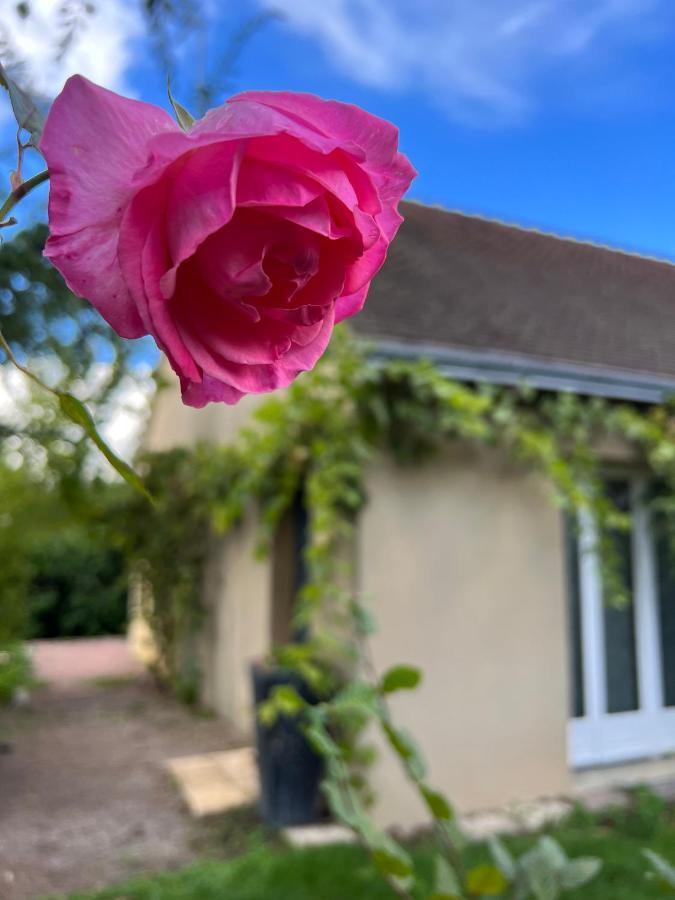 Gsand Le Clos Du May Le Poinconnet Exterior photo